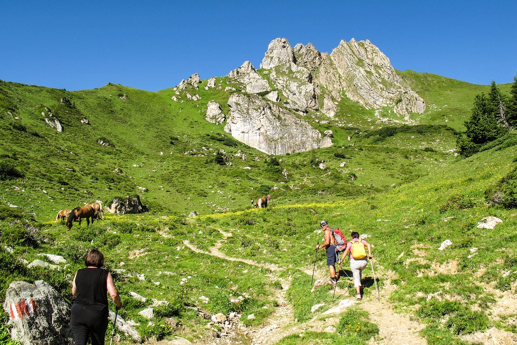 41 Aufstieg ueber schoene Almen.jpg